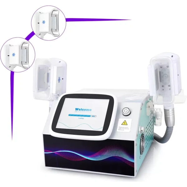 Best Cooling Fat Freezing System Body Shaping Double Handle Beauty Machine Price