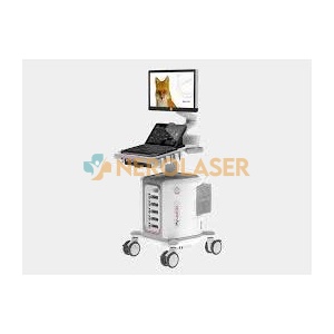 Esaote Veterinary ultrasound system MyLab FOX